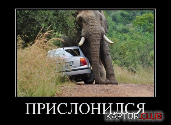 1323436812_demotivatory_21.jpg | Рено Каптур Клуб Россия | Форум KAPTUR.SU