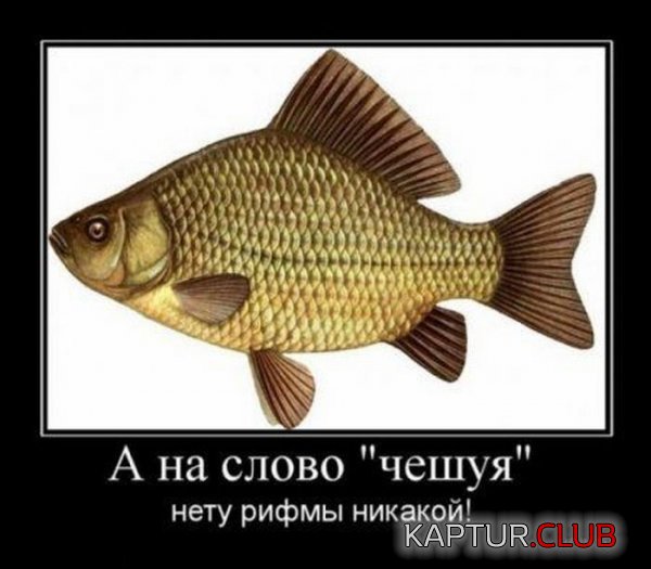 1323680300_demotivatory_02.jpg | Рено Каптур Клуб Россия | Форум KAPTUR.SU