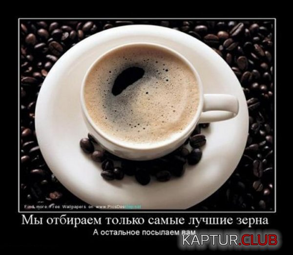 1323765506_demotivatory_05.jpg | Рено Каптур Клуб Россия | Форум KAPTUR.SU
