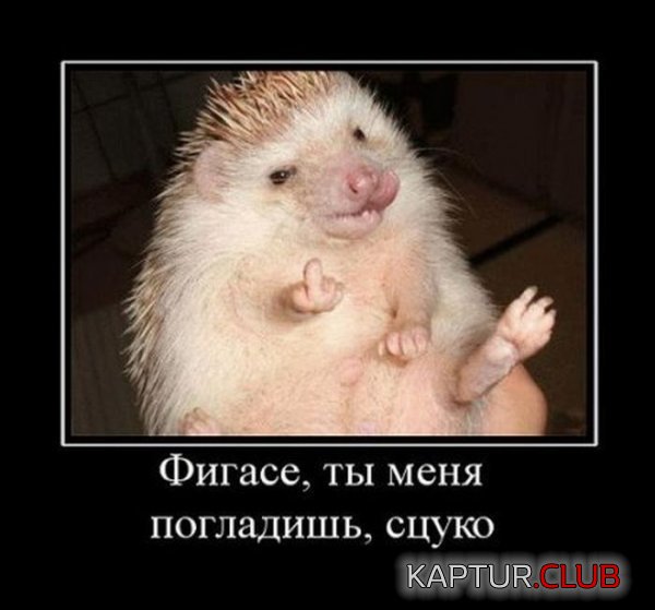 1323765530_demotivatory_12.jpg | Рено Каптур Клуб Россия | Форум KAPTUR.SU