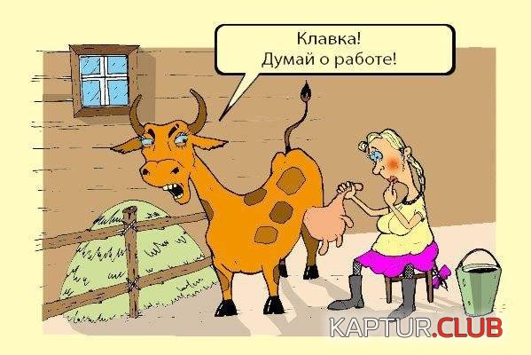 1323956183_1323899851_1323796988_076.jpg | Рено Каптур Клуб Россия | Форум KAPTUR.SU