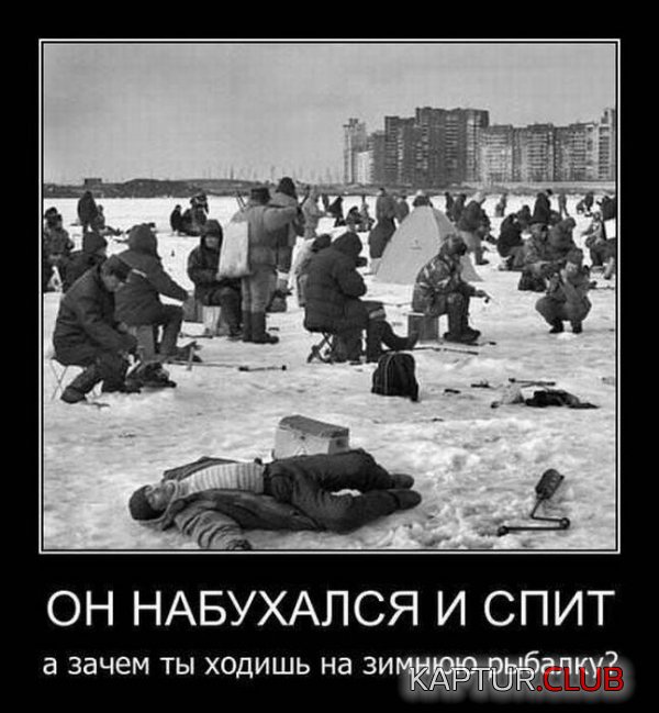 1324039215_demotivatory_15.jpg | Рено Каптур Клуб Россия | Форум KAPTUR.SU