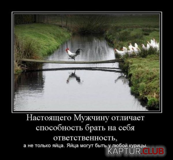 1324297207_demotivatory_08.jpg | Рено Каптур Клуб Россия | Форум KAPTUR.SU