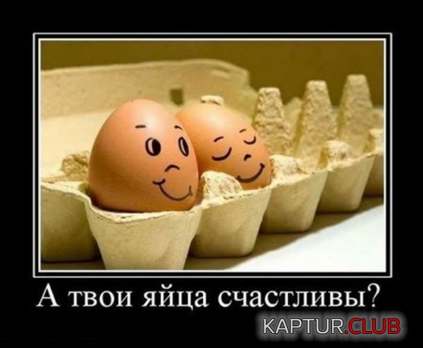 1324384051_demotivatory_06.jpg | Рено Каптур Клуб Россия | Форум KAPTUR.SU