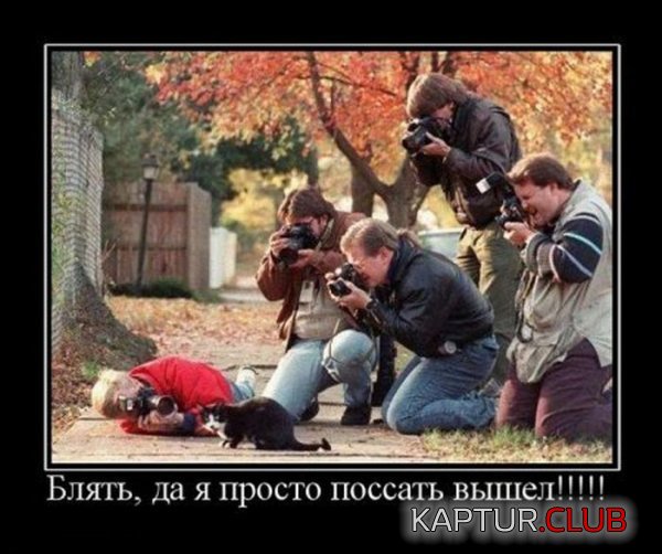 1324384086_demotivatory_10.jpg | Рено Каптур Клуб Россия | Форум KAPTUR.SU