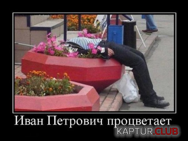 1324648217_demotivatiry_10.jpg | Рено Каптур Клуб Россия | Форум KAPTUR.SU