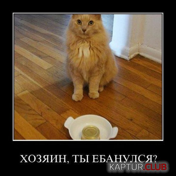1324981664_demotivatory_21.jpg | Рено Каптур Клуб Россия | Форум KAPTUR.SU