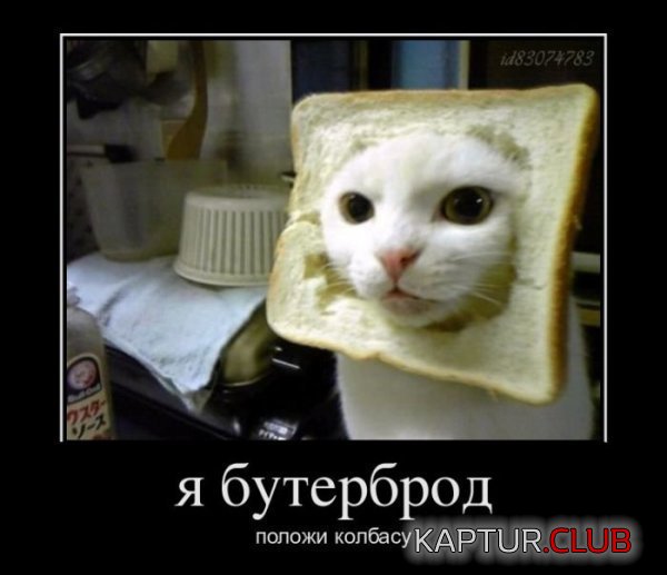 1325150360_demotivatory_27.jpg | Рено Каптур Клуб Россия | Форум KAPTUR.SU