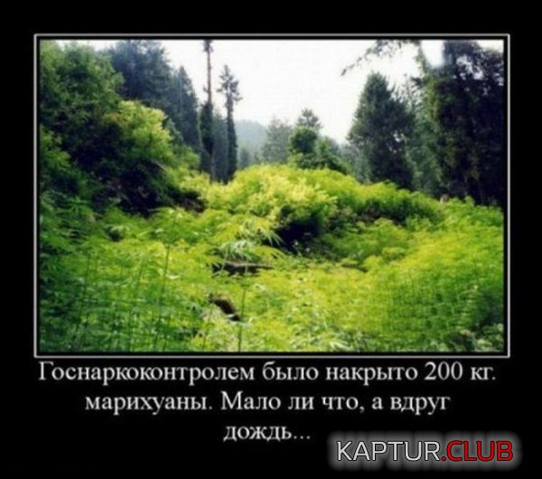 1325753606_demotivatiry_05.jpg | Рено Каптур Клуб Россия | Форум KAPTUR.SU