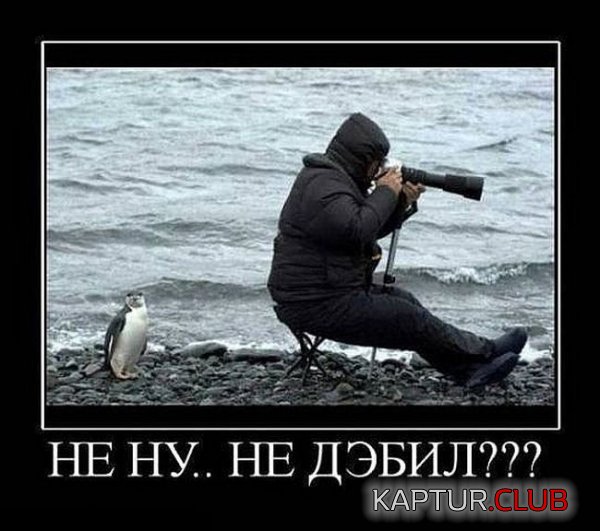 1331454555_demotivatory_30.jpg | Рено Каптур Клуб Россия | Форум KAPTUR.SU
