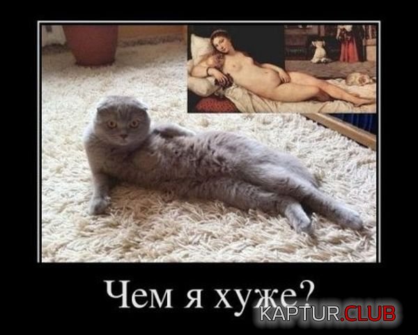 1331727229_demtivatroy_16.jpg | Рено Каптур Клуб Россия | Форум KAPTUR.SU