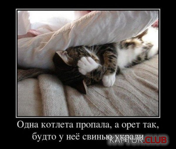 1331897758_demotivatory_14.jpg | Рено Каптур Клуб Россия | Форум KAPTUR.SU