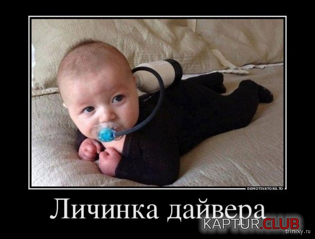 133213_7_trinixy_ru.jpg | Рено Каптур Клуб Россия | Форум KAPTUR.SU