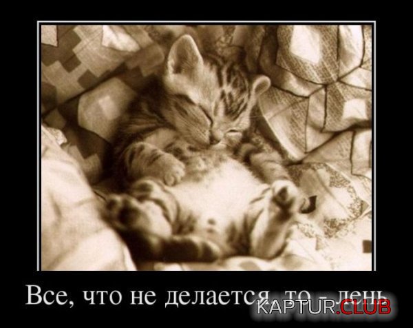 1332841925_demotivatory_21.jpg | Рено Каптур Клуб Россия | Форум KAPTUR.SU
