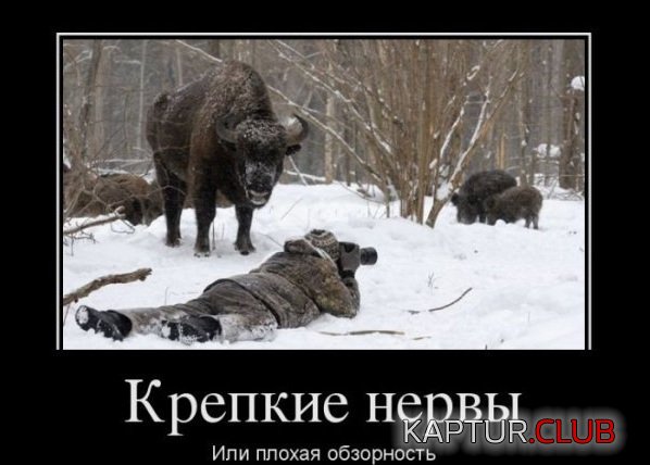1332937127_demotivatory_10.jpg | Рено Каптур Клуб Россия | Форум KAPTUR.SU