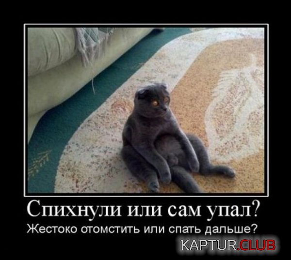 1332937223_demotivatory_31.jpg | Рено Каптур Клуб Россия | Форум KAPTUR.SU