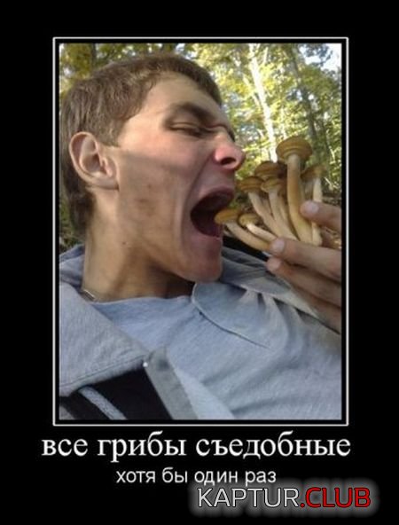 1333112497_demotivatory_25.jpg | Рено Каптур Клуб Россия | Форум KAPTUR.SU