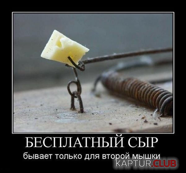 1335303966_demotivatory_25.jpg | Рено Каптур Клуб Россия | Форум KAPTUR.SU
