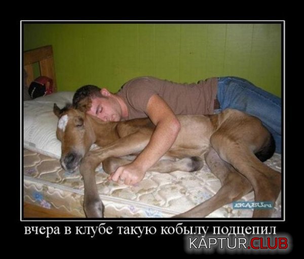 1335513646_demotivatory_16.jpg | Рено Каптур Клуб Россия | Форум KAPTUR.SU