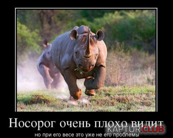 1335775261_demotivatory_17.jpg | Рено Каптур Клуб Россия | Форум KAPTUR.SU
