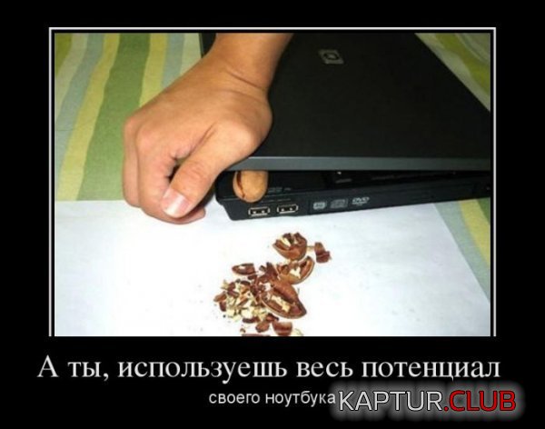 1336382933_demotivatory_15.jpg | Рено Каптур Клуб Россия | Форум KAPTUR.SU