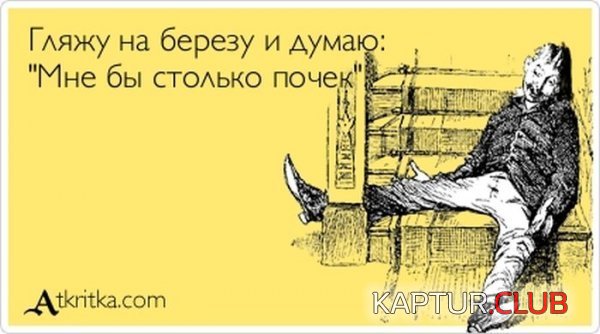 1336640781_atkritka_11.jpg | Рено Каптур Клуб Россия | Форум KAPTUR.SU