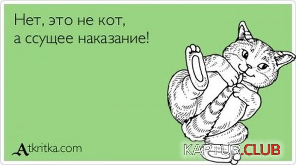 1338194123_atkritki_13.jpg | Рено Каптур Клуб Россия | Форум KAPTUR.SU