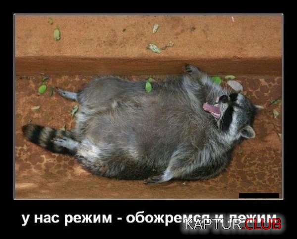 1338902156_demotivators_18.jpg | Рено Каптур Клуб Россия | Форум KAPTUR.SU