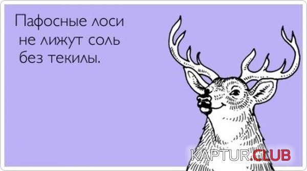 1339058052_003.jpg | Рено Каптур Клуб Россия | Форум KAPTUR.SU