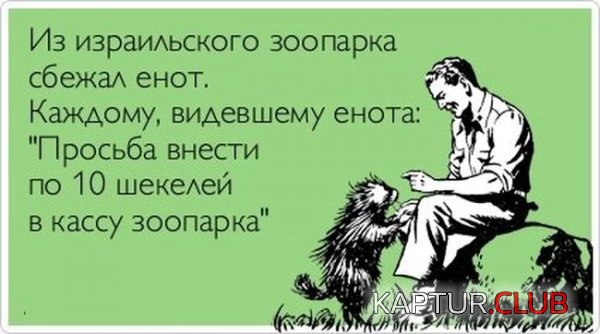 1339058104_008.jpg | Рено Каптур Клуб Россия | Форум KAPTUR.SU