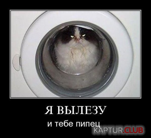 1339059002_demotivatory_06.jpg | Рено Каптур Клуб Россия | Форум KAPTUR.SU