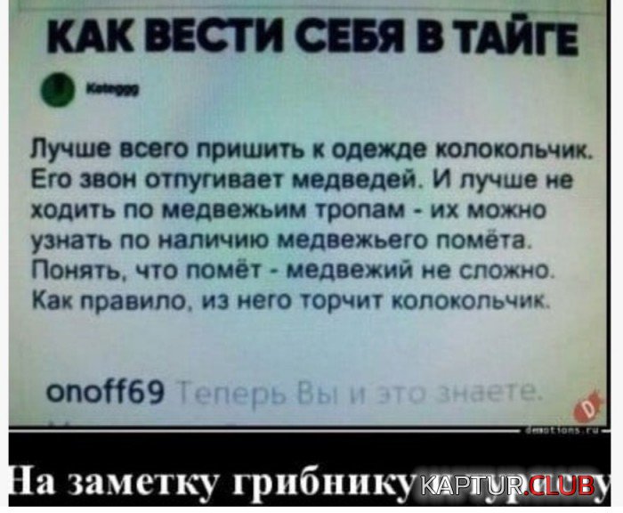 13394845.jpg | Рено Каптур Клуб Россия | Форум KAPTUR.SU