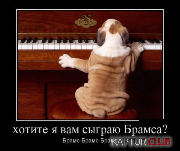 1340094871_demotivatory_13.jpg | Рено Каптур Клуб Россия | Форум KAPTUR.SU