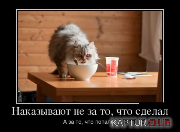 1340094980_demotivatory_22.jpg | Рено Каптур Клуб Россия | Форум KAPTUR.SU