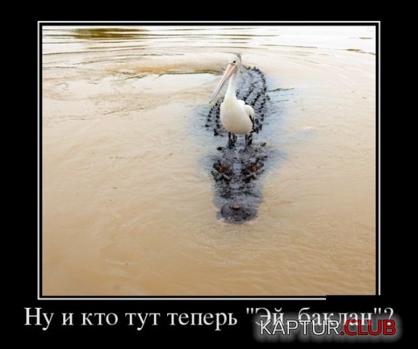 1340182188_demotivatory_09.jpg | Рено Каптур Клуб Россия | Форум KAPTUR.SU