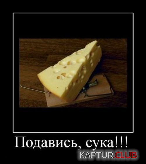 1341389958_demotivatory_17.jpg | Рено Каптур Клуб Россия | Форум KAPTUR.SU