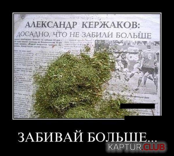 1341908367_demotivatory_13.jpg | Рено Каптур Клуб Россия | Форум KAPTUR.SU