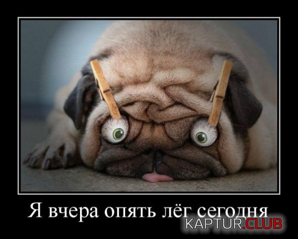 1343812177_demotivatory_07.jpg | Рено Каптур Клуб Россия | Форум KAPTUR.SU