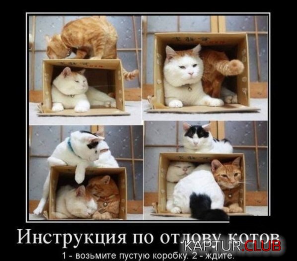 1343895893_demotivatory_10.jpg | Рено Каптур Клуб Россия | Форум KAPTUR.SU