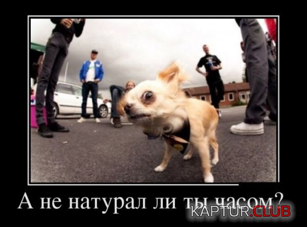 1343980954_demotivatory_25.jpg | Рено Каптур Клуб Россия | Форум KAPTUR.SU
