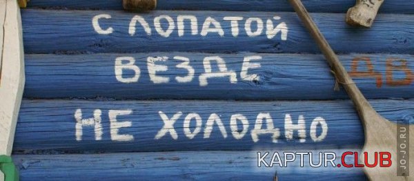 1345017424_15082012-kartinki-veselye-kartinki-smeshnye-kartinki-fotoprikoly_5893648733.jpg | Рено Каптур Клуб Россия | Форум KAPTUR.SU