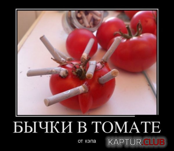 1345646983_demotivatory_18.jpg | Рено Каптур Клуб Россия | Форум KAPTUR.SU