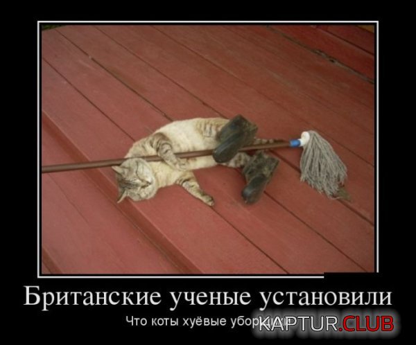 1345704137_demotivatoy_02.jpg | Рено Каптур Клуб Россия | Форум KAPTUR.SU