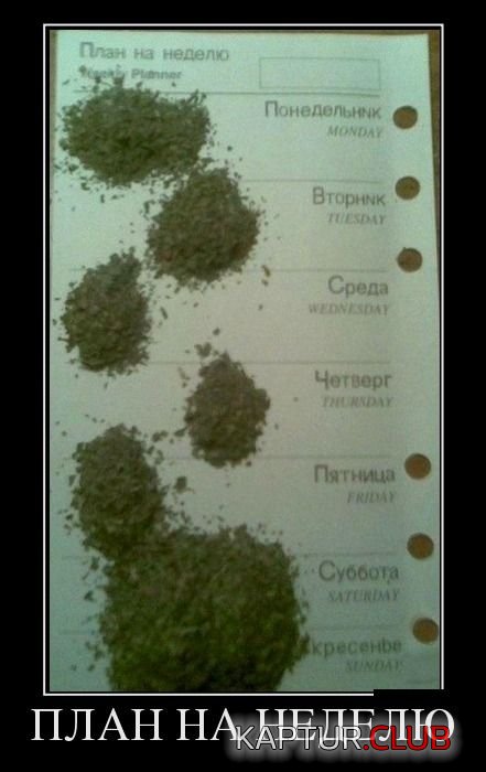1346148126_demotivatory_02.jpg | Рено Каптур Клуб Россия | Форум KAPTUR.SU