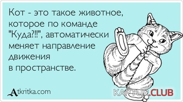 1346662489_atkritka_01.jpg | Рено Каптур Клуб Россия | Форум KAPTUR.SU