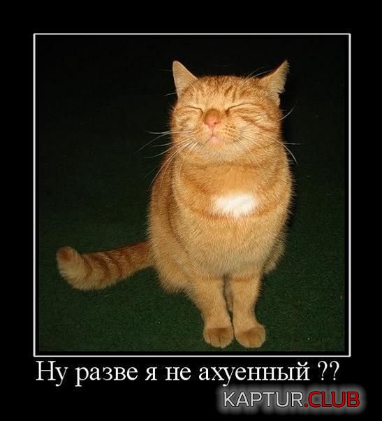 1347866797_demotivatory_03.jpg | Рено Каптур Клуб Россия | Форум KAPTUR.SU