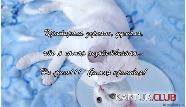1347950900_frazi_07.jpg | Рено Каптур Клуб Россия | Форум KAPTUR.SU