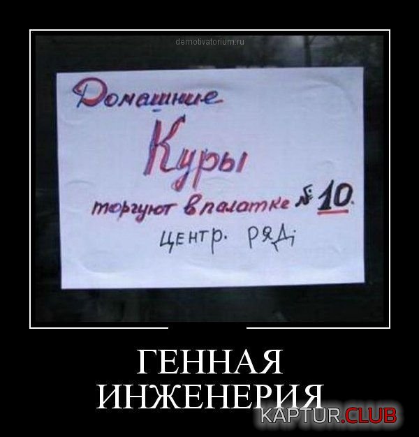 1348130420_demotivatory_17.jpg | Рено Каптур Клуб Россия | Форум KAPTUR.SU