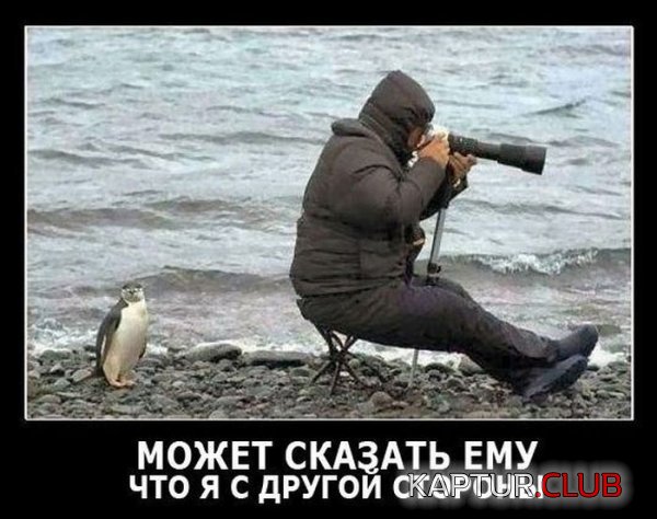 1348130423_demotivatory_21.jpg | Рено Каптур Клуб Россия | Форум KAPTUR.SU