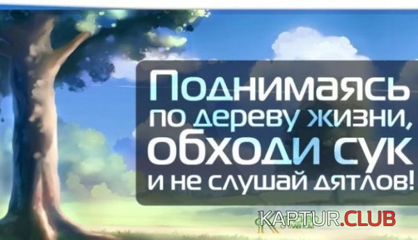 1348825272_podborka_94.jpg | Рено Каптур Клуб Россия | Форум KAPTUR.SU